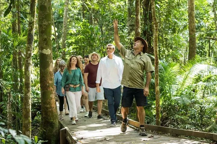 Daintree Rainforest and Cape Tribulation Full Day Tour