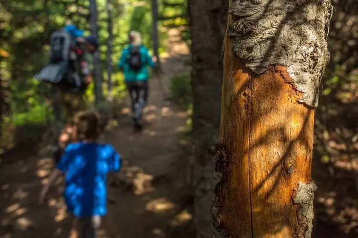 Survival Hike - Second Medium
