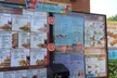 5% Cash Back at SONIC Drive-In - Second Medium