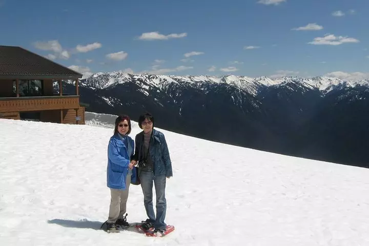 Best of Olympic National Park from Seattle: All-Inclusive Small-Gro...