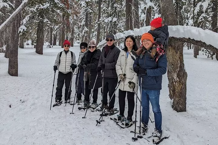 Chickadee Ridge Beginner Snowshoe Activity