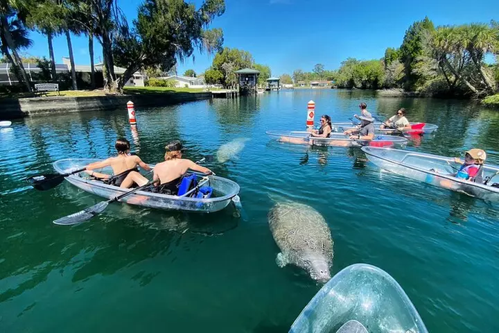 Crystal River Three Sisters Springs and Manatee Clear Kayak Tours