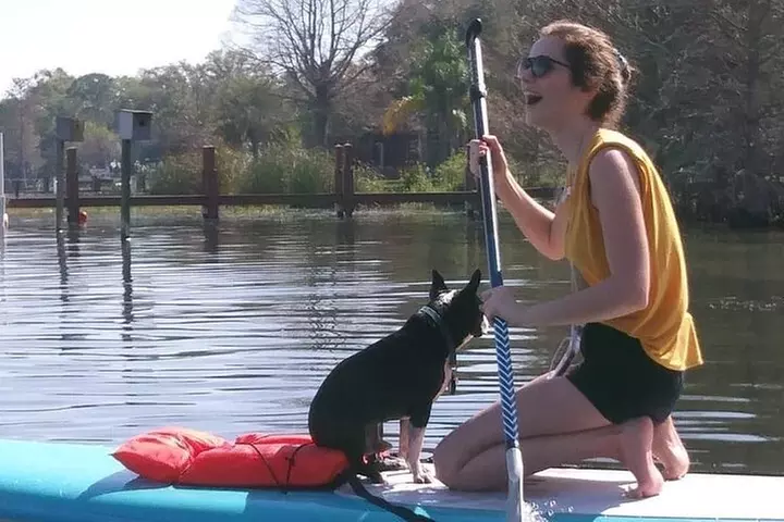 Paddle with Pups in Paradise - Paddleboard or Kayak - Primary Image