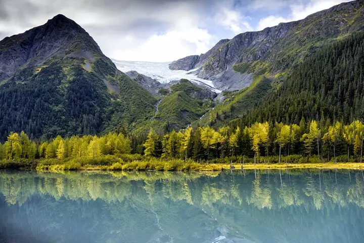 Valley of Glaciers Experience with Portage Glacier Cruise and Wildl...