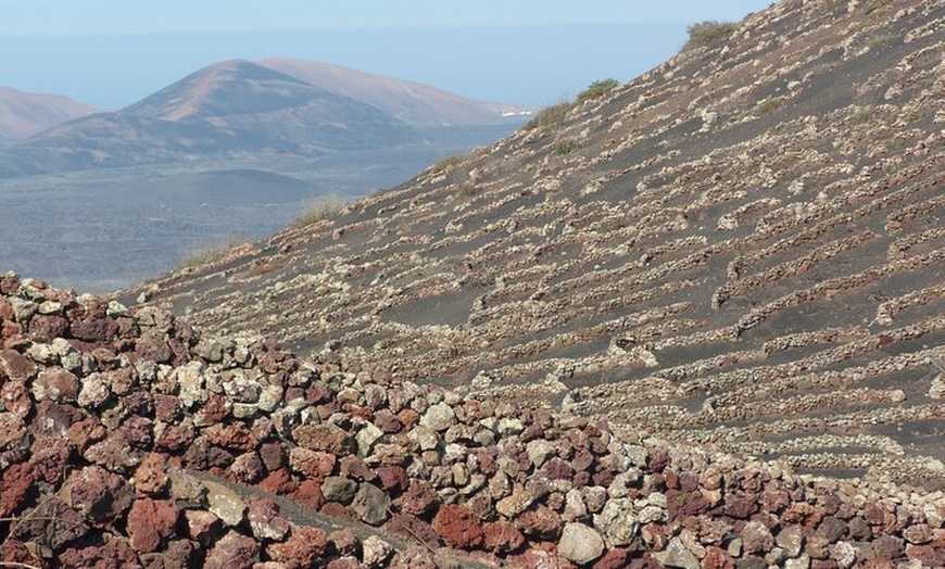 Image 8: Recorrido a pie de medio día para grupos pequeños por los viñedos d...