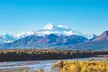 Denali-In-A-Day Sightseeing Tour - Second Medium