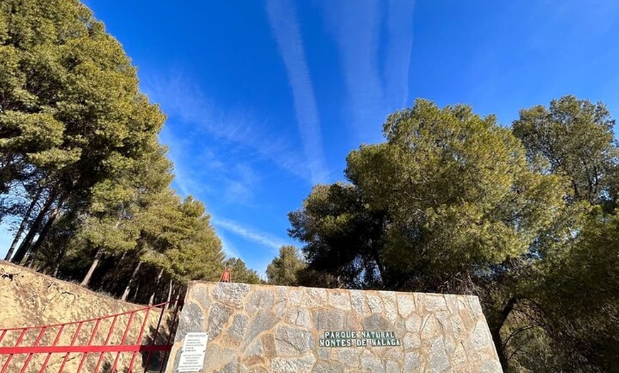 Image 7: Alquiler de bicicletas de montaña en Málaga