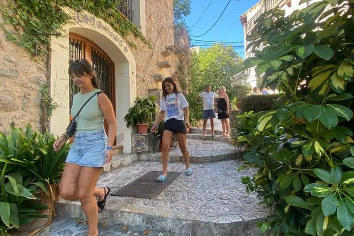 Tour VIP de día completo en las Islas Baleares