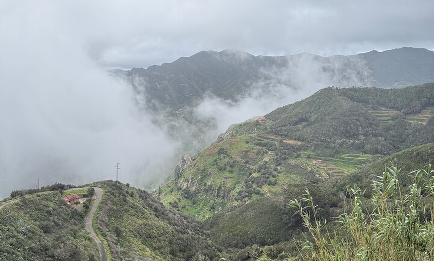 Image 25: Tour de Senderismo en Anaga : Ruta del Taborno con Vistas al Océano...