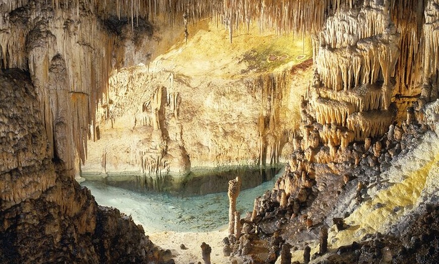 Image 16: Excursión a las Cuevas del Drach y traslado de regreso desde Cala D...