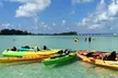 Kayaking with coastal wildlife in Sarasota Bay - Second Medium