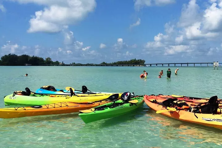 Kayaking with coastal wildlife in Sarasota Bay