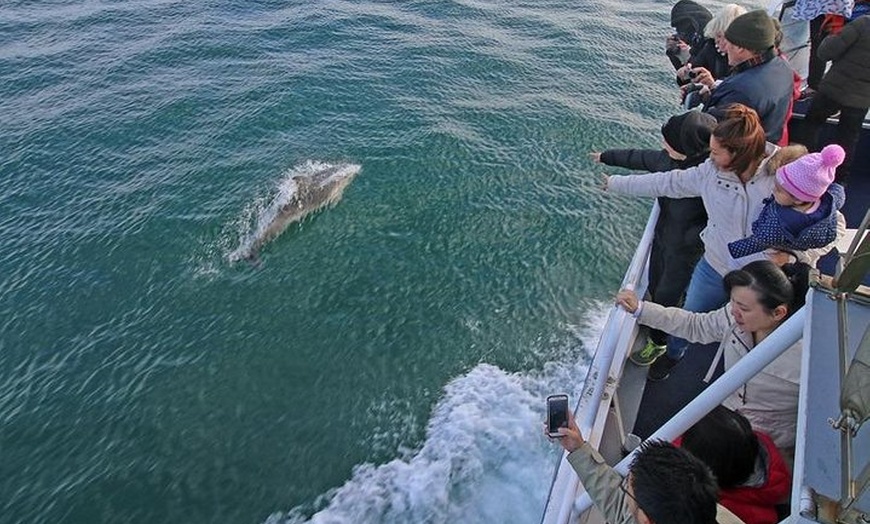 Image 2: Phillip Island Whale Watching Tour