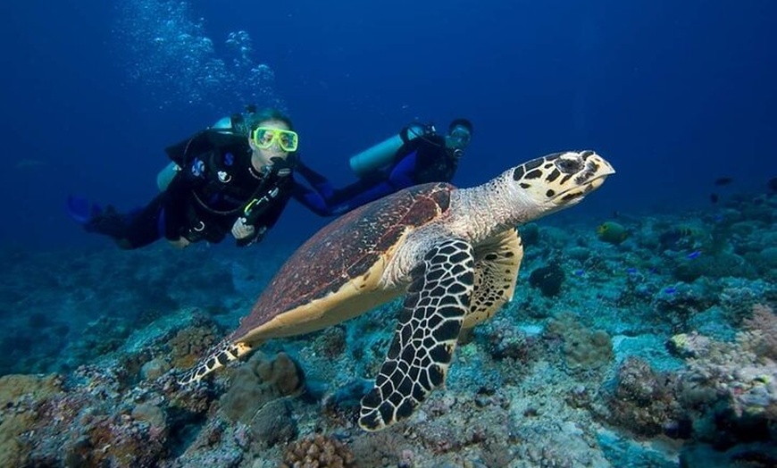 Image 6: Great Keppel Island Day Trip Bundle from Yeppoon