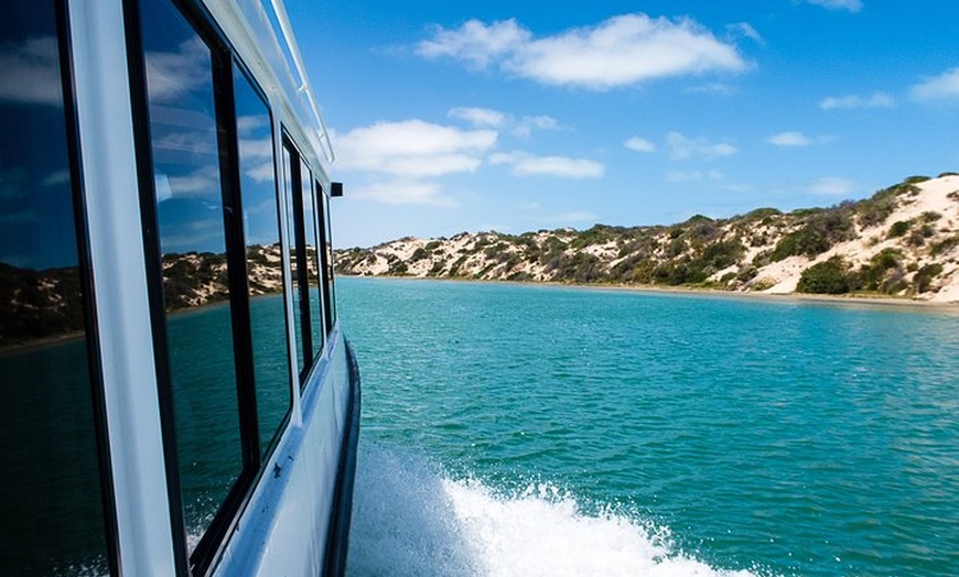 Image 4: Coorong 3.5-Hour Discovery Cruise