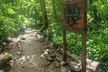 El Yunque National Rainforest and Luquillo Beach Tour - Second Medium