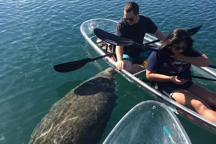 Crystal River Three Sisters Springs and Manatee Clear Kayak Tours