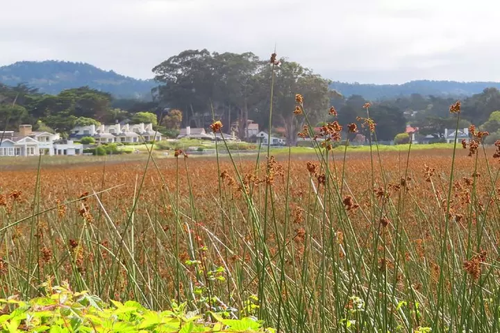 Carmel Point: A Self-Guided Audio Tour