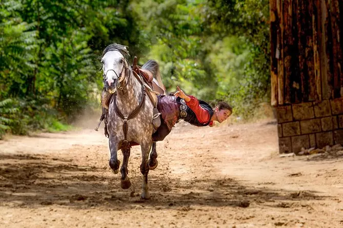 Billet d'entrée aux spectacles médiévaux de Durandal - Primary Image