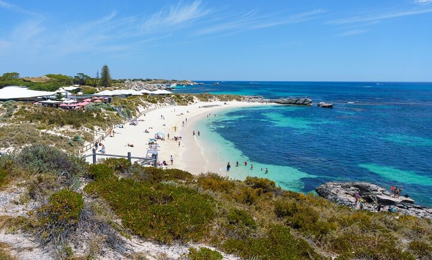 Image 6: Rottnest Coastal Explorer Tour