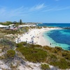Image 6: Rottnest Coastal Explorer Tour