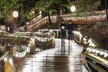 Explore Vancouver City & Capilano Suspension Bridge Canyon Lights - Second Medium