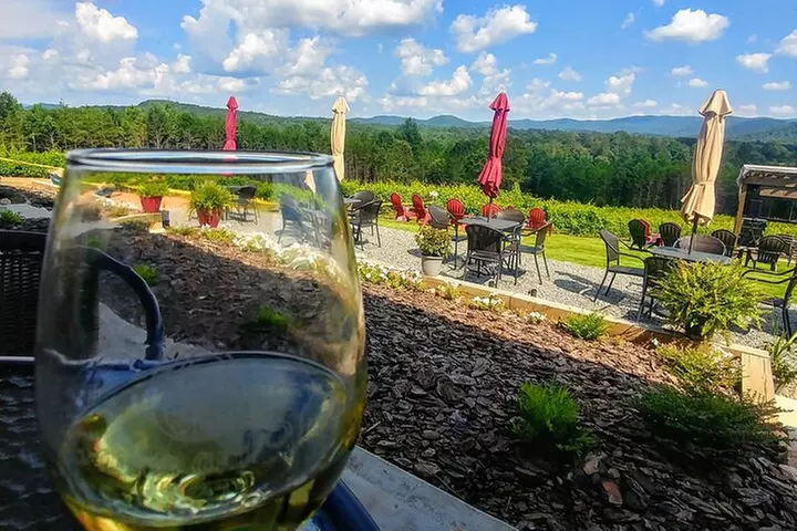 Half-Day Wine Tastings in the North Georgia Mountains