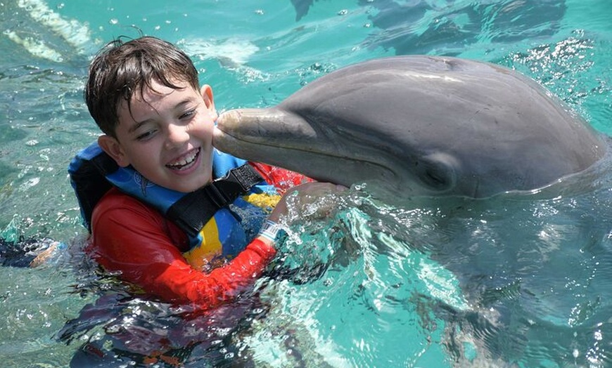 Image 6: Tulum & Dolphin Connection from Cancun