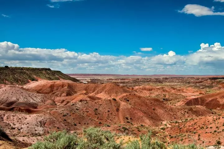 Petrified Forest National Park Self-Guided Driving Audio Tour