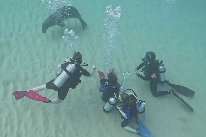 SCUBA Dive at Electric Beach with Photos -No Certification Needed