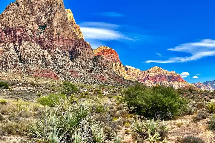 The Ultimate Red Rock Canyon Scenic Experience