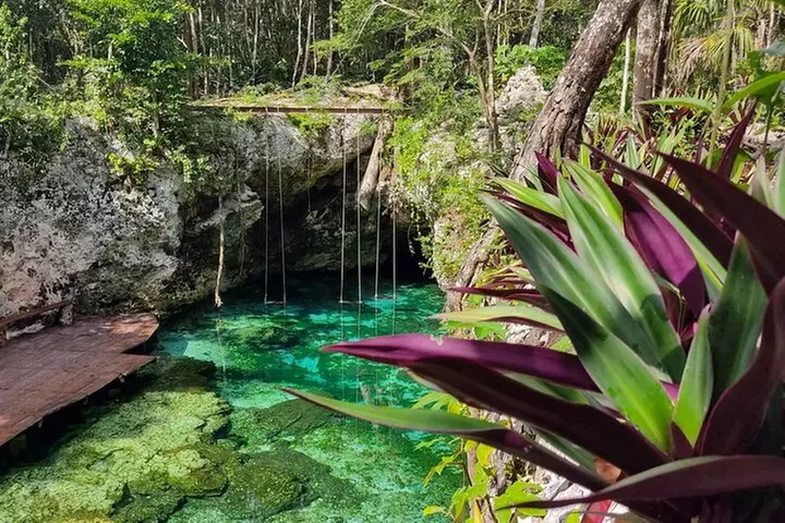 Tulum, Cenote Mariposa & Playa del Carmen from Cancun Luxury Tour - Primary Image