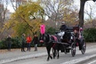 Horse Carriage Tour in New York City's Central Park Small Loop - Second Medium