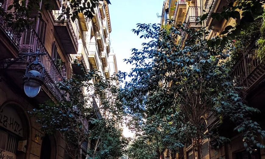 Image 2: Visita guiada privada de Barcelona