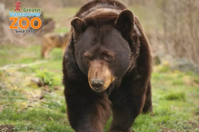 Greater Vancouver Zoo - Primary Image