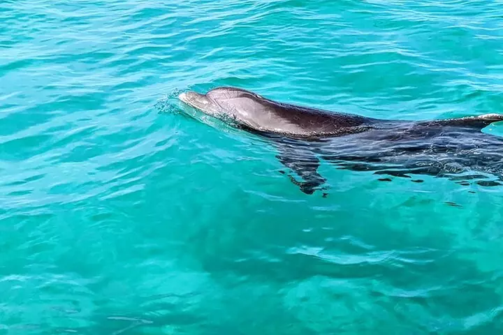 Premium Non-Private 3 Hour Crab Island and Eco Tour with Bathroom