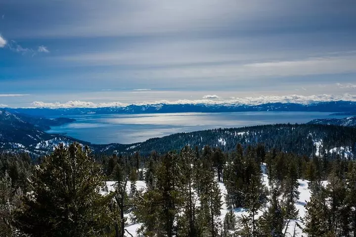Chickadee Ridge Beginner Snowshoe Activity