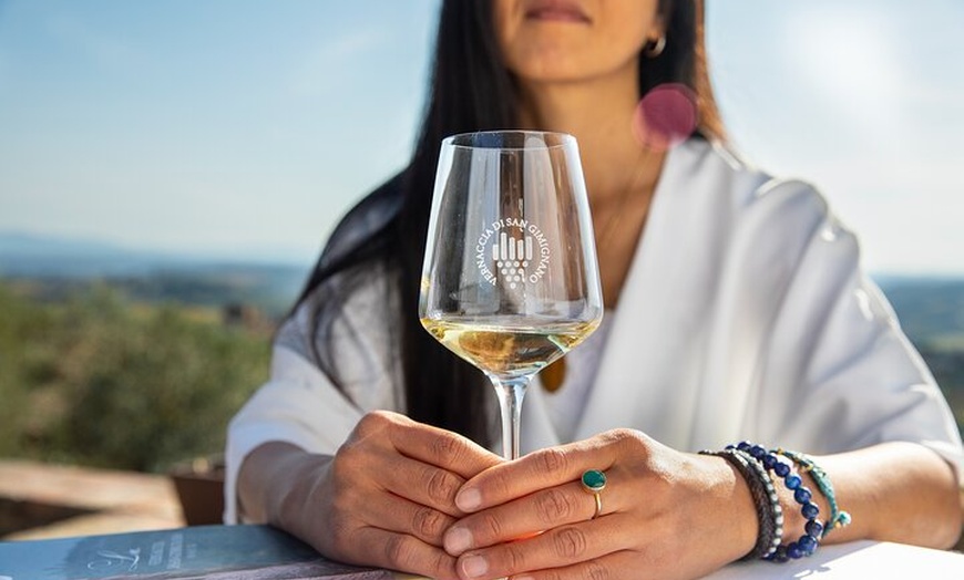 Image 3: Degustazione Superior di Vini a San Gimignano