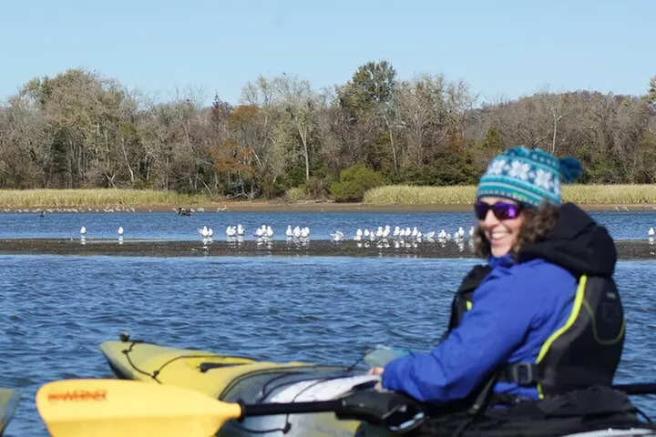 Sandhill Crane Kayak Tour with Chattanooga Guided Adventures - Primary Image