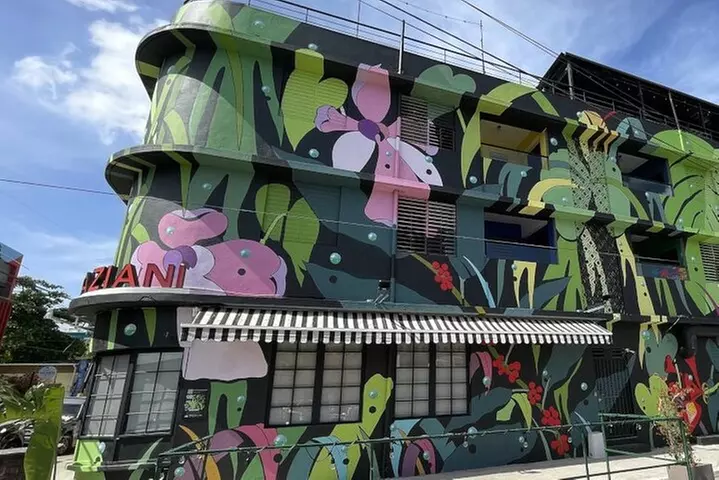 Half-Day: Old San Juan, Calle Cerra,Santurce, La Placita & Loíza - Primary Image
