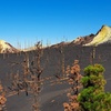 Image 10: Ruta de senderismo Visita al Nuevo Volcán de La Palma