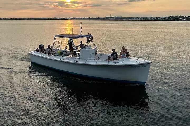 Orange Beach Dolphin Cruise - Primary Image