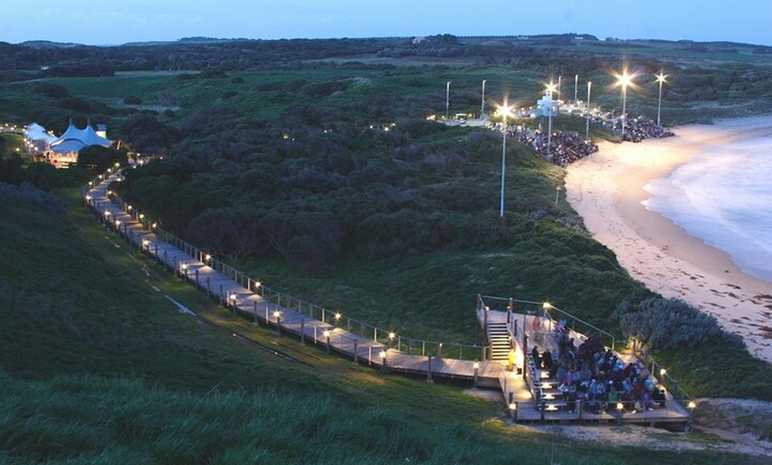 Image 7: Full-Day Phillip Island Tour with Kangaroo, Koala and Penguin Parade
