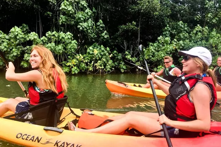 Rainforest River Kayak Self-Guided Kayak Tour - Second Medium