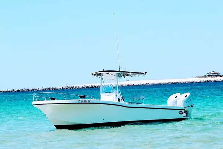 2 Hour Dolphin Watching Tour with Fintastic Adventures - Second Medium