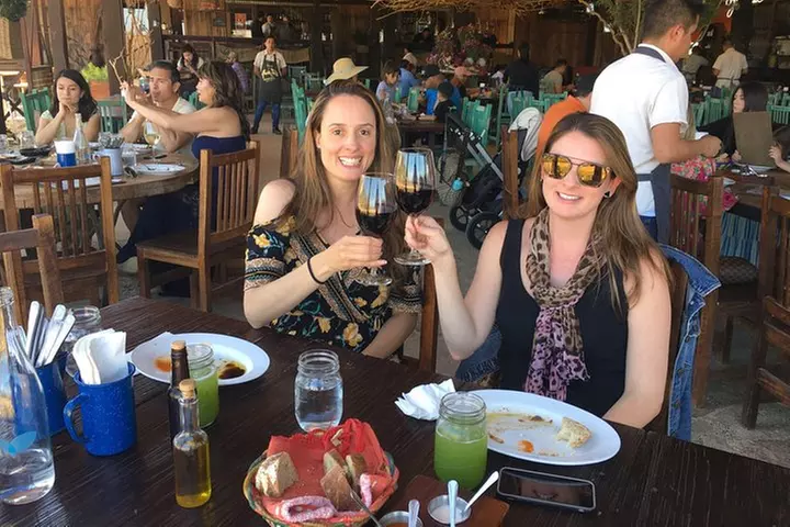 Luxury Private Wine Tasting Tour to Guadalupe Valley from San Diego