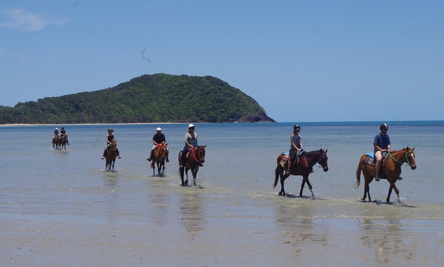 Image 4: Mid-Morning Beach Horse Ride in Cape Tribulation