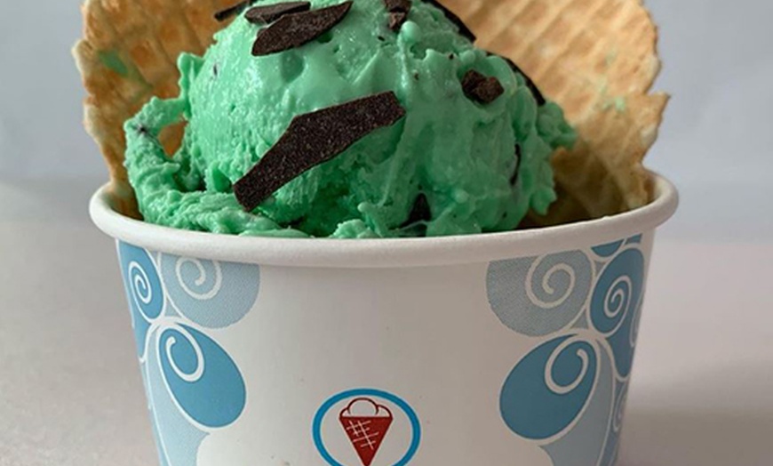 Sub Zero Nitrogen Ice Cream - 5% Cash Back | Groupon