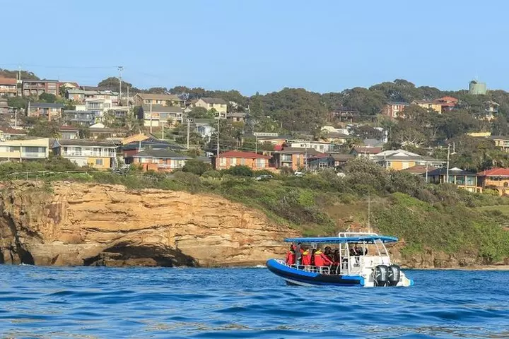 Hunter Coastal Adventure Tour by Boat from Newcastle