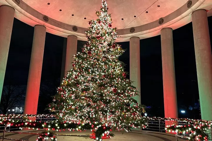 Washington, DC: National Christmas Tree & Holiday Lights Bus Tour